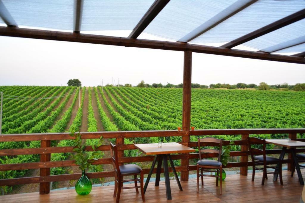 Agriturismo Tenuta Lagala Venosa Exteriör bild